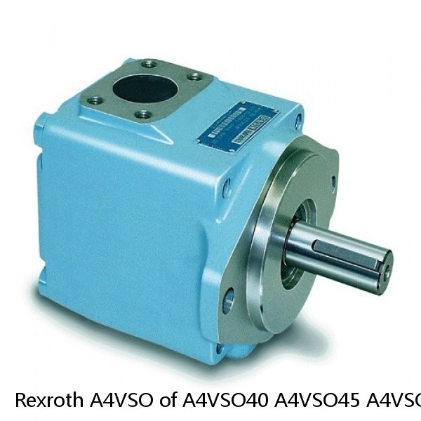 Rexroth A4VSO of A4VSO40 A4VSO45 A4VSO50 A4VSO56 A4VSO71 A4VSO125 A4VSO180 A4VSO250 Hydraulic Pump Parts