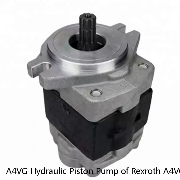 A4VG Hydraulic Piston Pump of Rexroth A4VG56 Parts Rotary Group/Cylinder Block/Valve plate