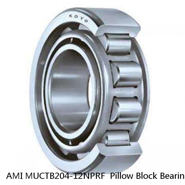 AMI MUCTB204-12NPRF  Pillow Block Bearings