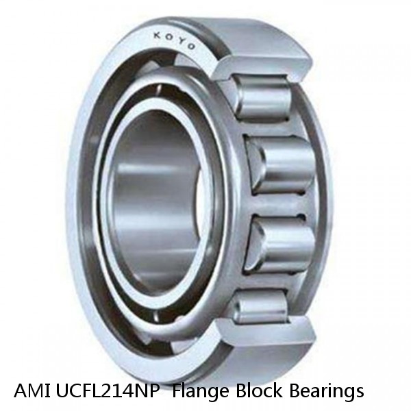 AMI UCFL214NP  Flange Block Bearings